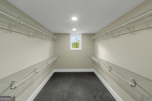 6048 Golf View Xing, Locust Grove, GA 30248 - walk in closet featuring carpet floors