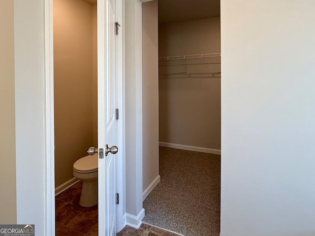 121 Birch River Ct, Dallas, GA 30132 - view of closet