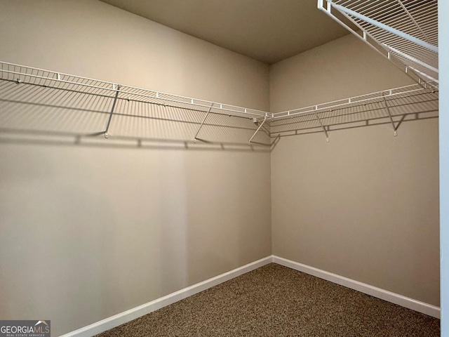 121 Birch River Ct, Dallas, GA 30132 - spacious closet with carpet