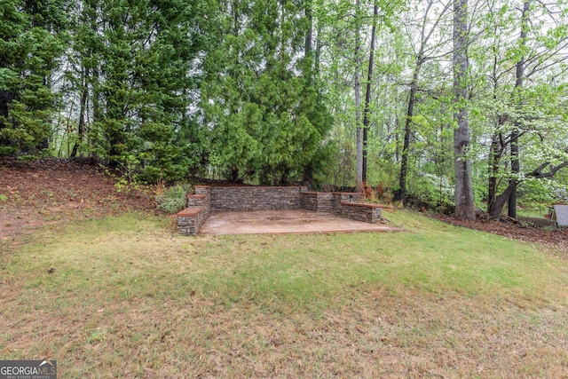 view of yard featuring a patio area