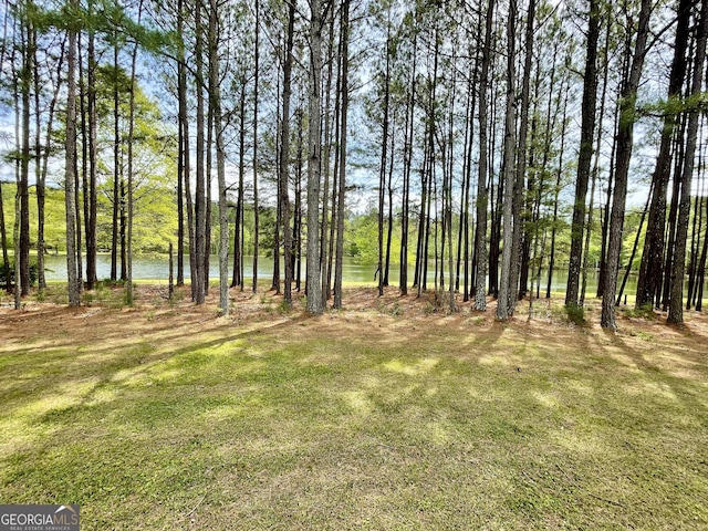 293 N Avery Rd NW, Rome, GA 30165 - view of yard
