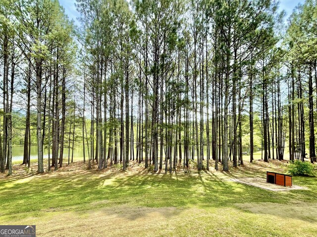 293 N Avery Rd NW, Rome, GA 30165 - view of yard