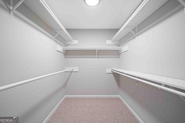 walk in closet with carpet