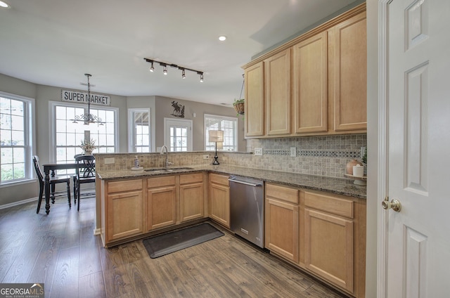kitchen with a sink, stainless steel dishwasher, a peninsula, and a healthy amount of sunlight