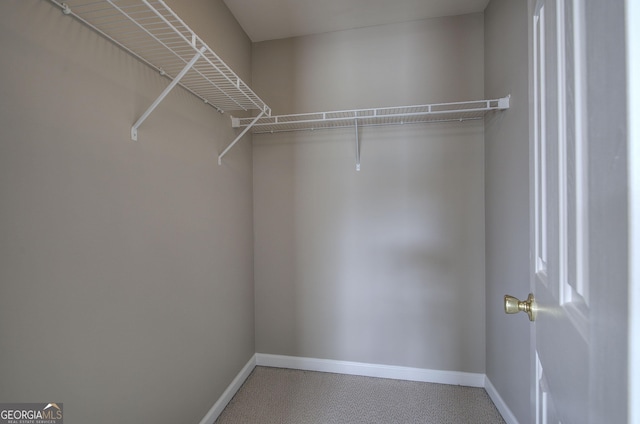 view of walk in closet