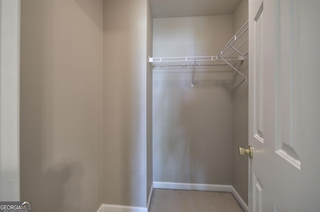 view of spacious closet