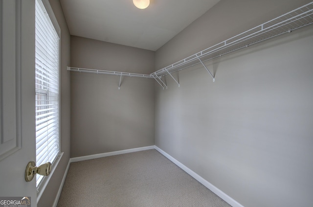 spacious closet with carpet flooring