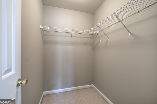 spacious closet with light carpet