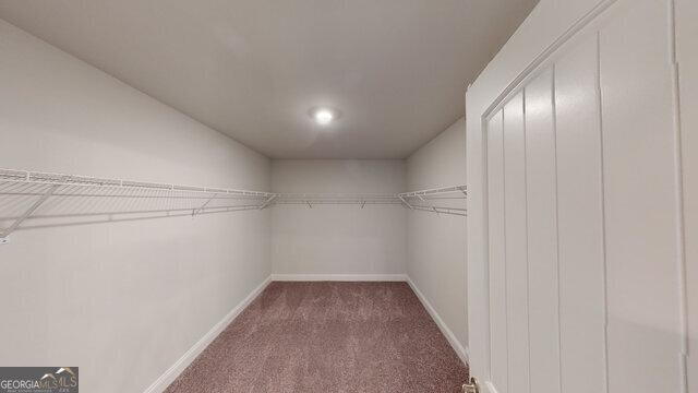 spacious closet featuring carpet