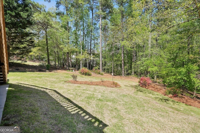 2545 Amberbrook Ln, Grayson, GA 30017 - view of yard