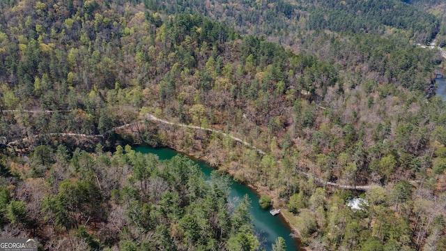 birds eye view of property with a forest view and a water view