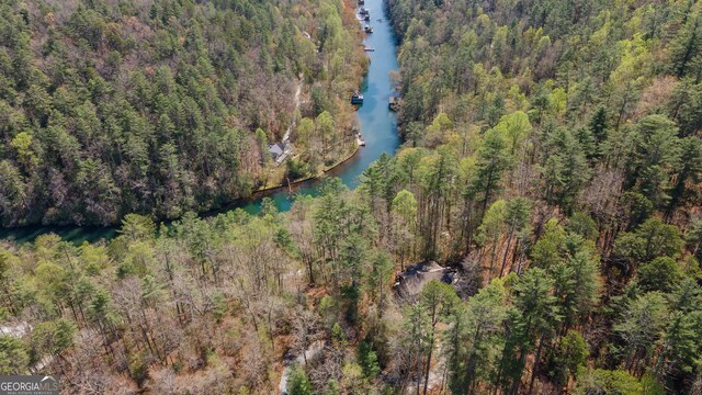 426 Crow Creek Rd, Lakemont, GA 30552 - view of property location featuring a large body of water and a forest