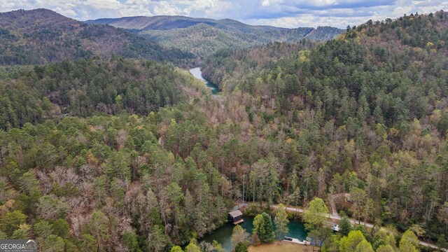 426 Crow Creek Rd, Lakemont, GA 30552 - mountain view with a heavily wooded area