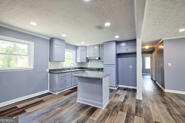 kitchen with crown molding, visible vents, and gray cabinets
