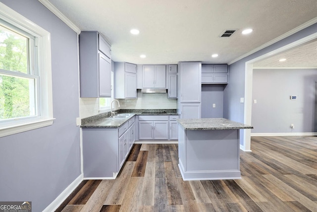 kitchen featuring tasteful backsplash, under cabinet range hood, a sink, and ornamental molding