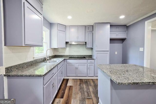 kitchen featuring dark wood-style flooring, black electric stovetop, under cabinet range hood, dark stone counters, and a sink