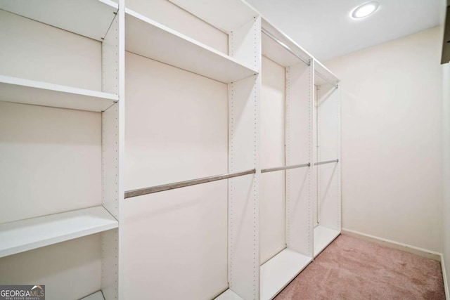 spacious closet featuring light carpet