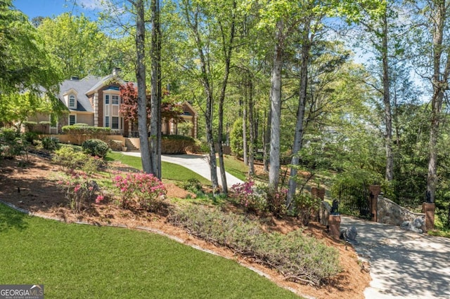 view of yard with driveway