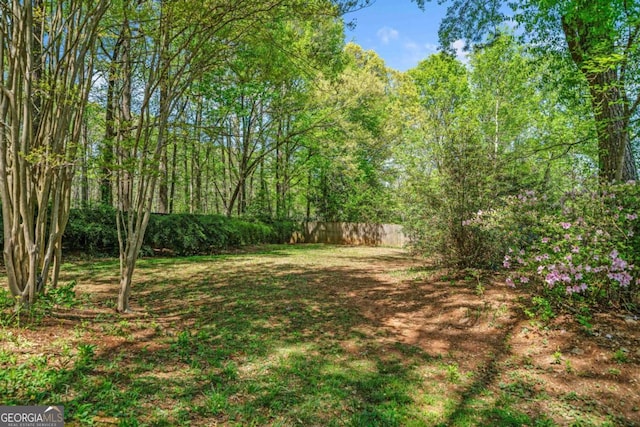 view of yard with fence