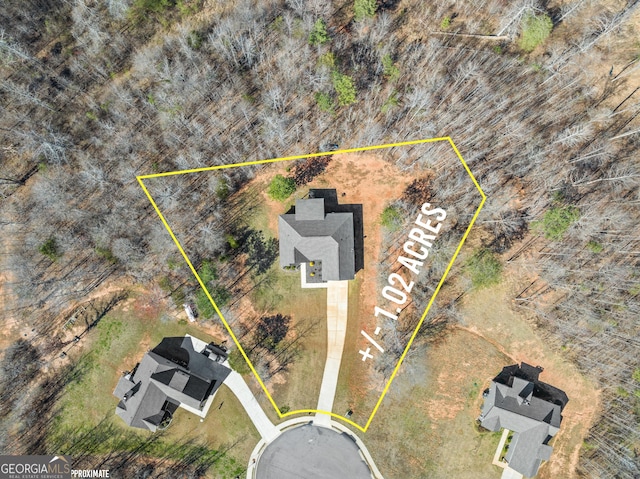 drone / aerial view