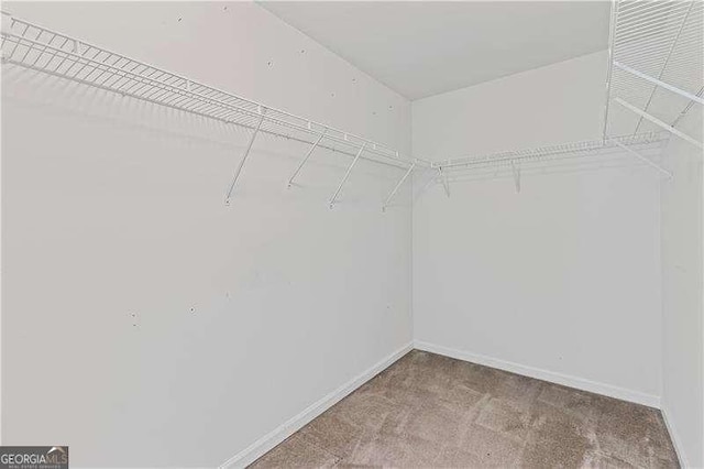 6655 Grove Meadows Ln, Cumming, GA 30028 - spacious closet with carpet