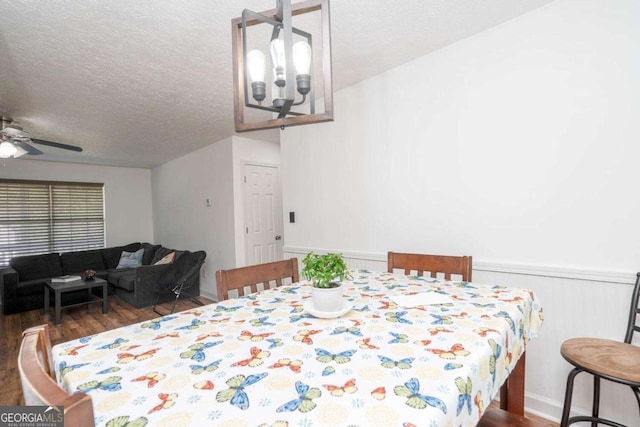 166 Rustin Dr, Dallas, GA 30157 - dining room with wood finished floors, a textured ceiling, ceiling fan, wainscoting, and a chandelier