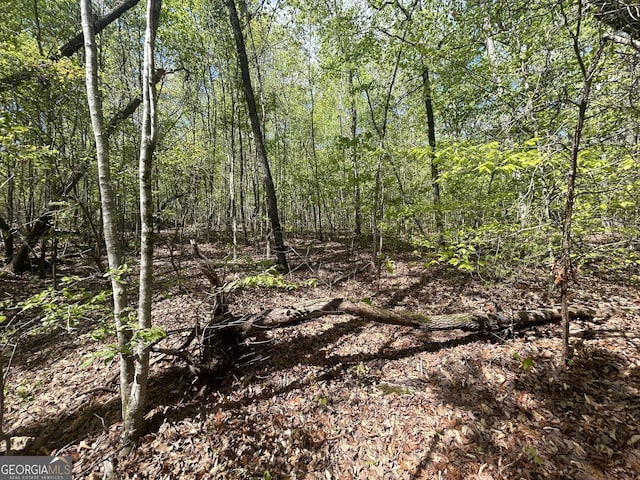0 Shore Crest Dr Lot 12, Martin, GA 30557