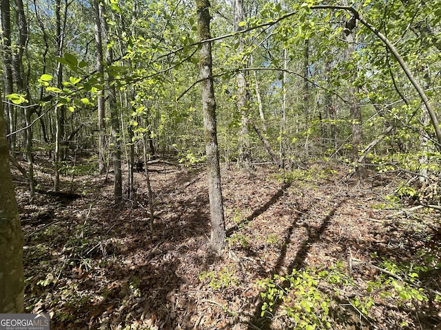 0 Shore Crest Dr Lot 12, Martin, GA 30557