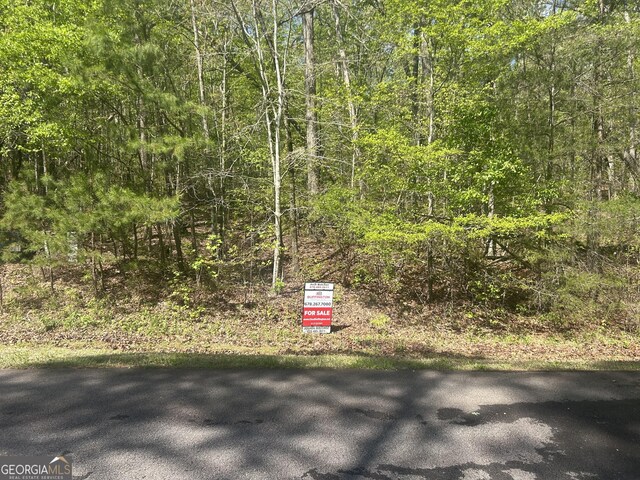 0 Shore Crest Dr Lot 12, Martin, GA 30557