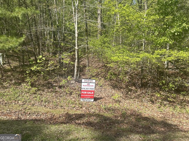0 Shore Crest Dr Lot 12, Martin, GA 30557