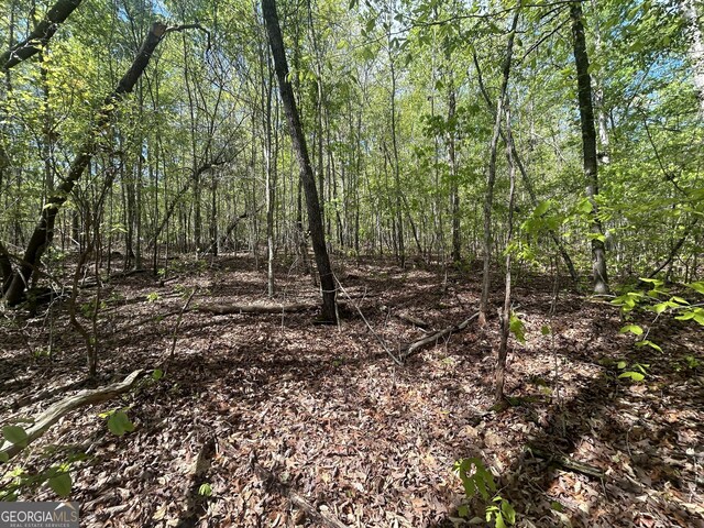 0 Shore Crest Dr Lot 12, Martin, GA 30557