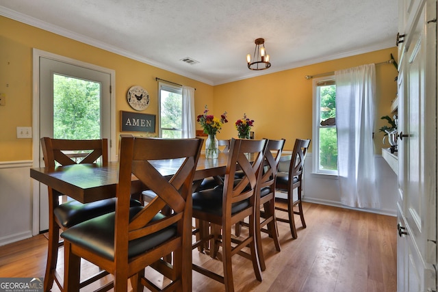 2675 Dacula Ridge Dr, Dacula, GA 30019 - dining room featuring plenty of natural light, light wood-style flooring, ornamental molding, a chandelier, and a textured ceiling