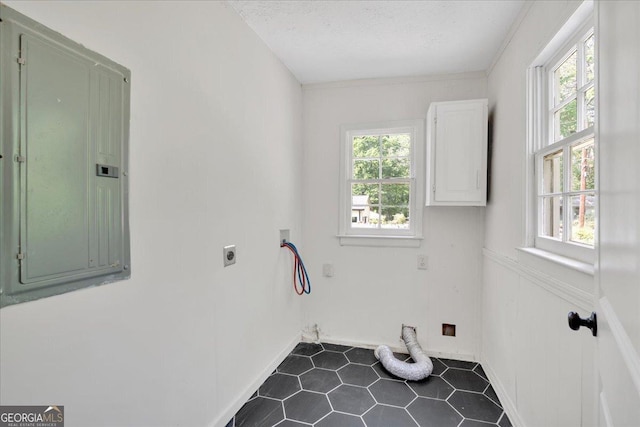 laundry area with hookup for a washing machine, electric dryer hookup, a wealth of natural light, and electric panel