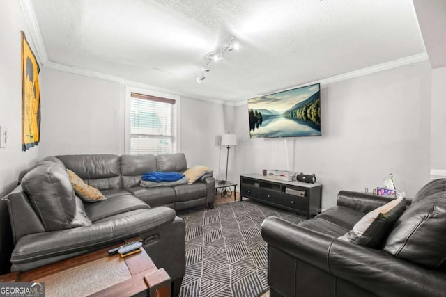 living area featuring a textured ceiling and crown molding