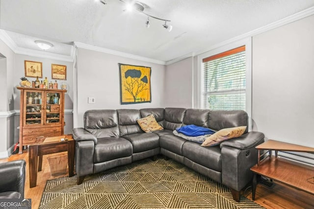 living area with crown molding and wood finished floors