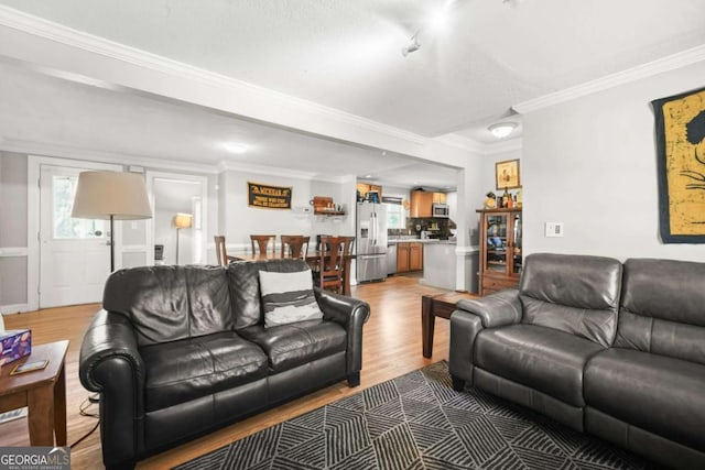 living room with light wood-type flooring and crown molding