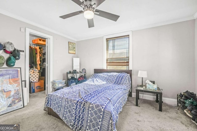 carpeted bedroom with a closet, baseboards, a spacious closet, a ceiling fan, and crown molding
