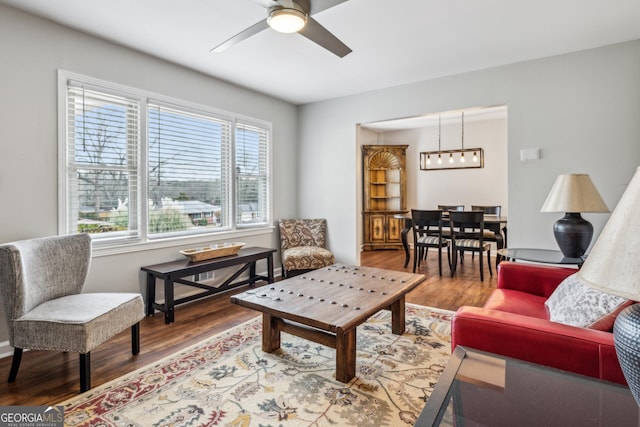 living room featuring a ceiling fan and wood finished floors