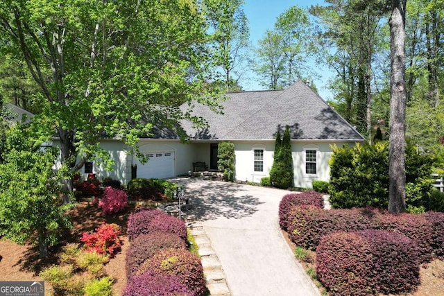 view of front of property featuring an attached garage, roof with shingles, concrete driveway, and stucco siding