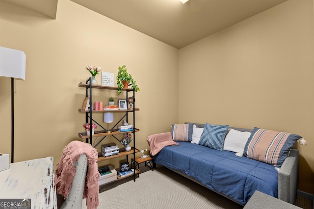 176 Stamp Mill Ln, Dahlonega, GA 30533 - living area with carpet flooring