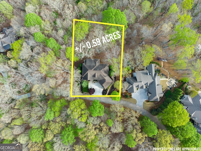 176 Stamp Mill Ln, Dahlonega, GA 30533 - bird's eye view