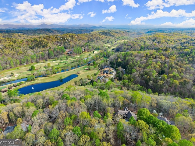 176 Stamp Mill Ln, Dahlonega, GA 30533 - birds eye view of property with a wooded view and a water and mountain view