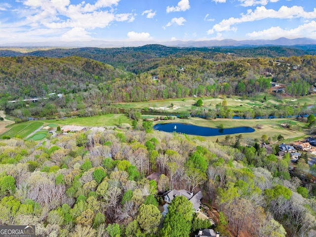 176 Stamp Mill Ln, Dahlonega, GA 30533 - birds eye view of property featuring a water and mountain view and a forest view