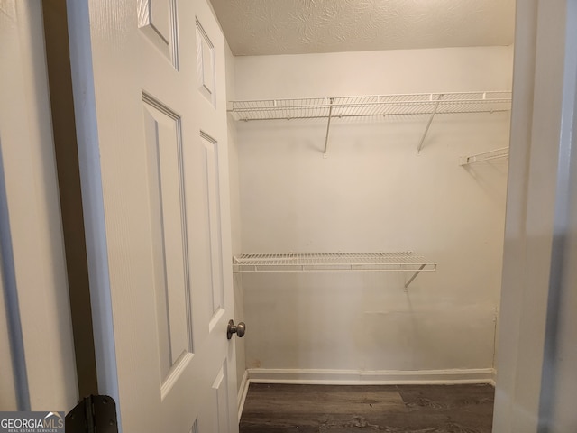 spacious closet featuring wood finished floors