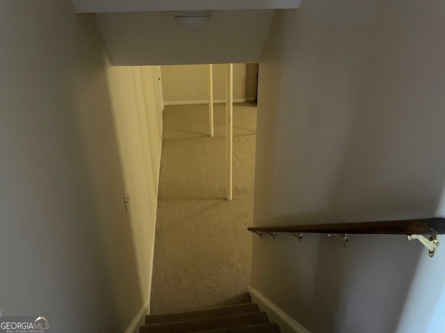 3021 Tiffin Cir, Macon, GA 31204 - stairway with carpet floors and baseboards