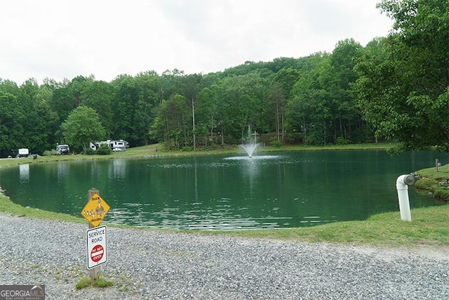 water view featuring a view of trees