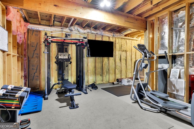 exercise area with carpet flooring