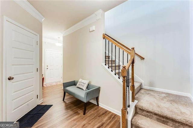 2316 Hastings Manor Ln, Hampton, GA 30228 - stairway with ornamental molding, baseboards, and wood finished floors