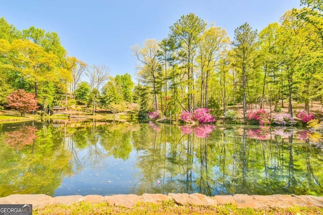 view of water feature