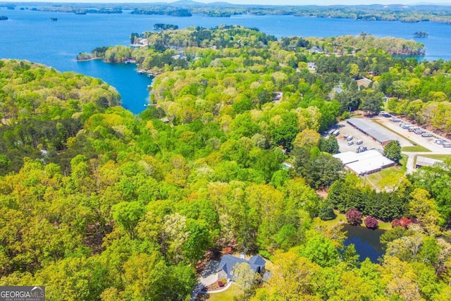bird's eye view with a wooded view and a water view